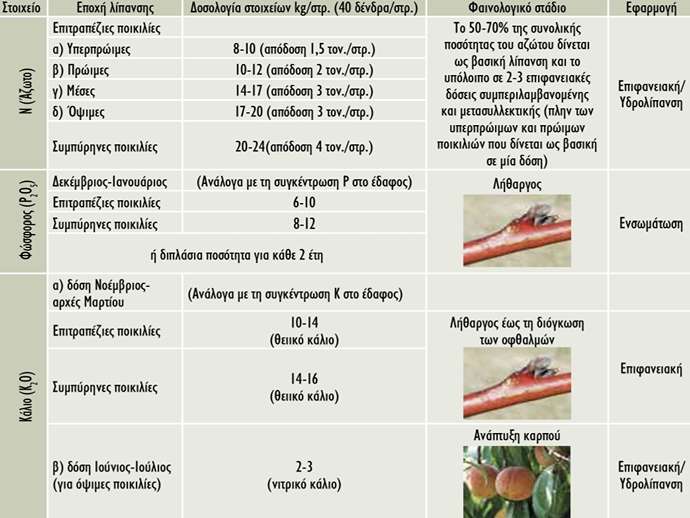 Θρέψη καλλιέργειας ροδακινιάς